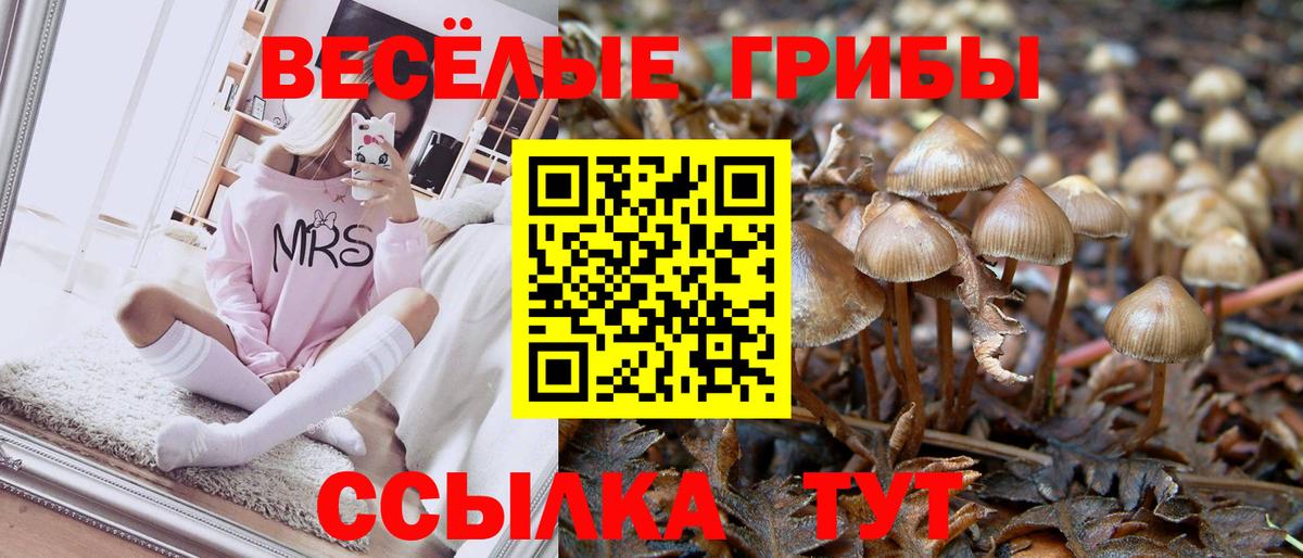 Псилоцибиновые грибы прущие грибы Котовск