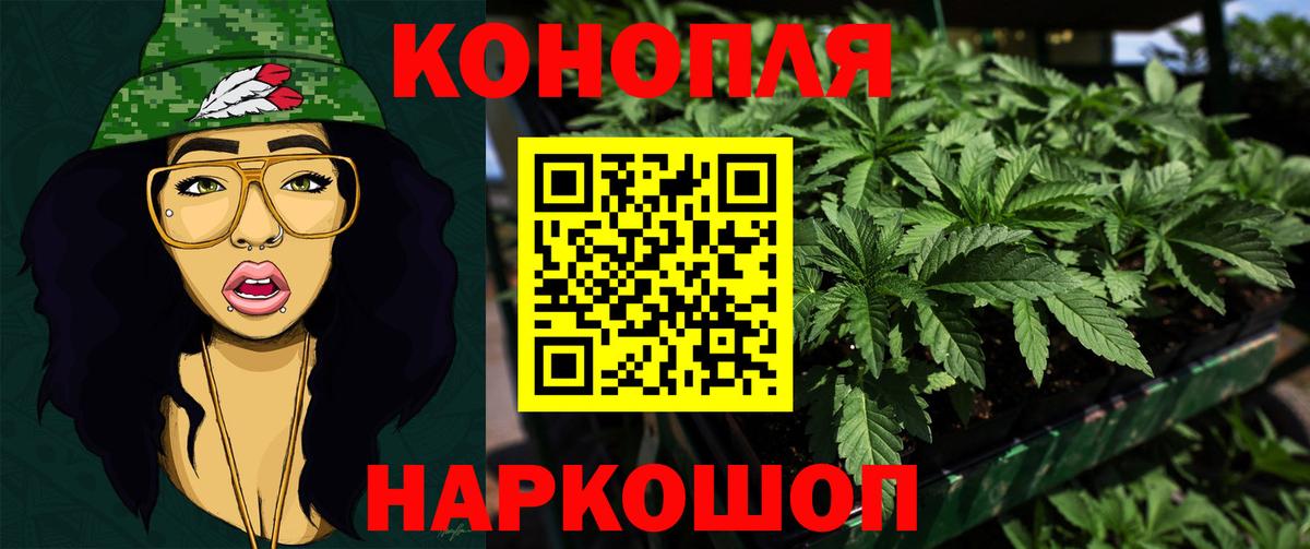 Канабис OG Kush Котовск